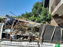 Best Residential Junk Removal  in Chicago Heights, IL